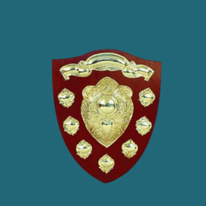 WT 067 ( 13X16, 15X18, 17X20, 19X24 , 22X27, 25X30, 30X36 )