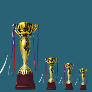 FT 553 ( 12,13,14,5 in )