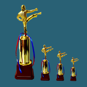 FT 544 (11,12,13 in)