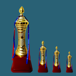 FT 542 (10,11,12 in)