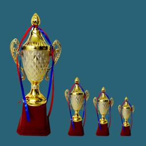 FT 505 ( 10,11,12 in )