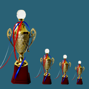 FT 503 (11,12,13 in )