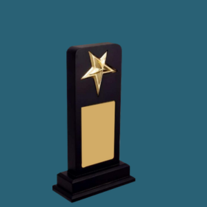 WT 020 (11.4 in)