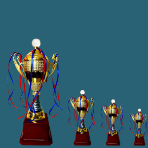 FT 510 (14.5 ,16.5,18.5 in )