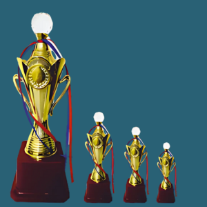 FT 515 ( 15,17,19in  )