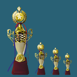 FT 513 ( 13,14,15  in )