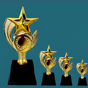 FT 573 ( 8,9,10 in )