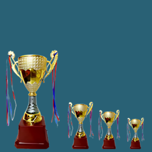 FT 516 ( 12, 13.5,15.5 In )