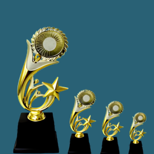 FT 574 ( 8,9,10 in )