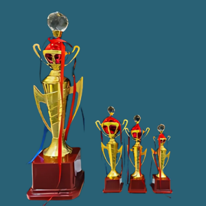 FT 577 (14,15.5,17 in )