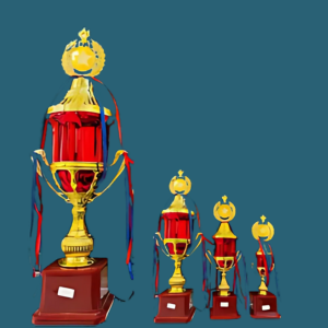 FT 580 (14,16.5,20.5 in)