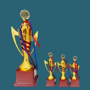 FT 579 (11,12,13 in)