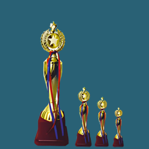 FT 554 (14,15,16 in)