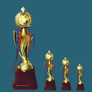 FT 536 ( 13,14,15 in )