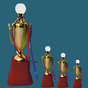 FT 533 ( 11,12,13 in )