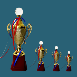 FT 591 ( 11,12,13 in )