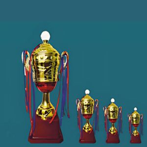 FT 592 ( 14,16,18 in )