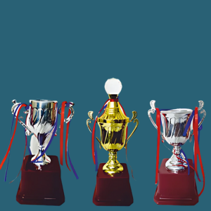 FT 537 ( 9,12,9 in )