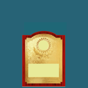 WT 115 (8,9.7,12 in)