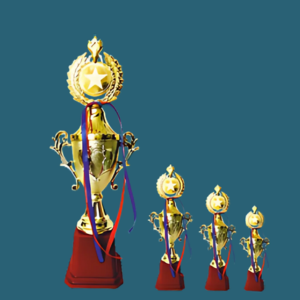 FT 549 (13.5,14.5,15.5 in)