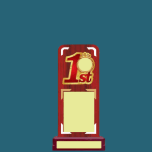 WT 116 (9.5,10.5,11.5 in )