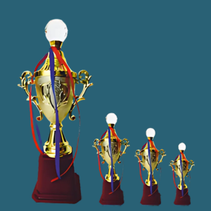 FT 548 ( 11,12,13 in )