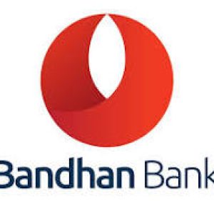 bandhan bank logo-2